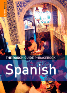 Rich Results on Google's SERP when searching for 'The Rough Guide to Spanish Dictionary Book'