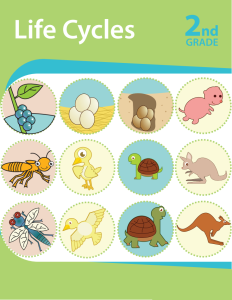 life-cycles-workbook