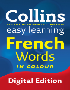 Rich Results on Google's SERP when searching for 'Collins Easy Learning French Words Book'
